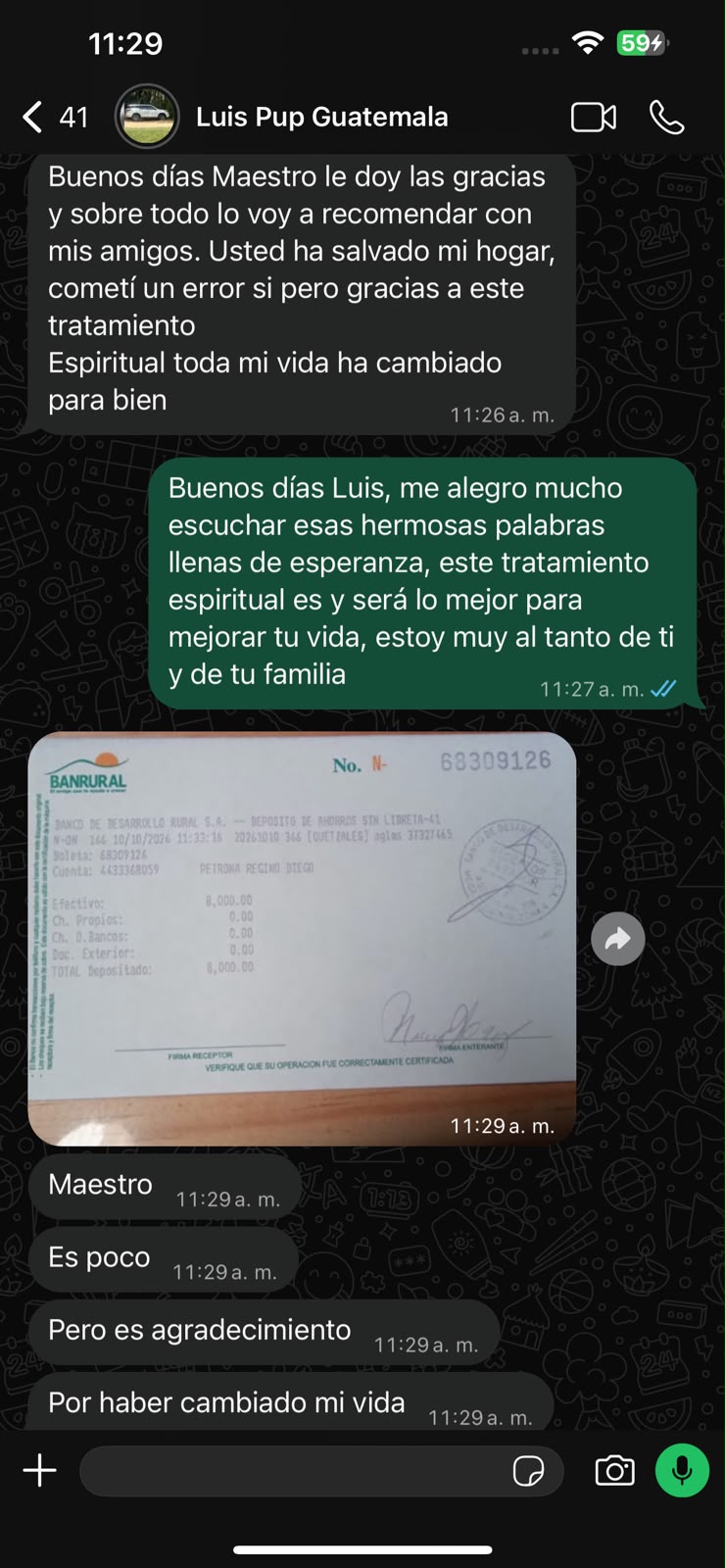 Imagen 2